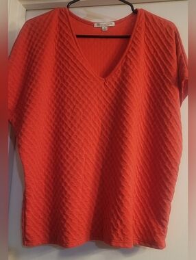 Green Envelope Los Angeles Textured V-Neck Top Red Size Large